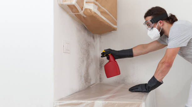 Professional Basement Mold Remediation technician working in Bellwood, VA